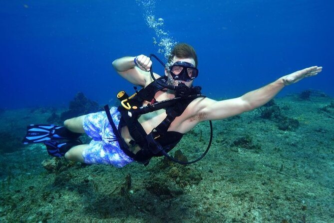 1 Tank Guided Shore Dive Including Equipment - Key points about this Cozumel shore outing