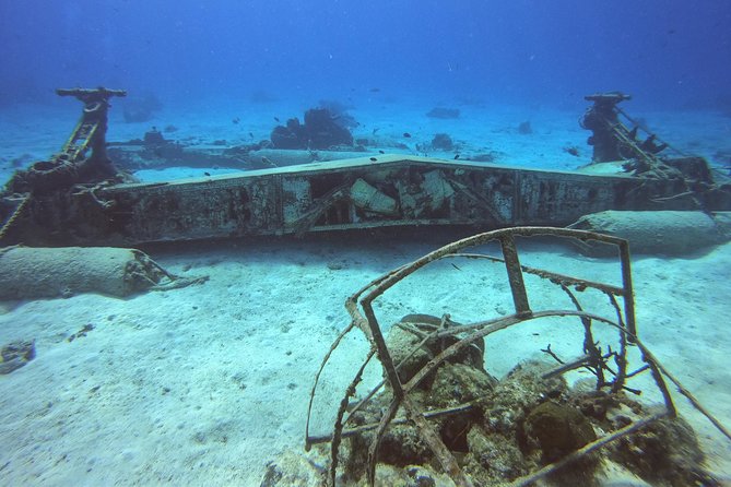 1 Tank Guided Shore Dive Including Equipment - Getting comfortable in water no deeper than 35 feet