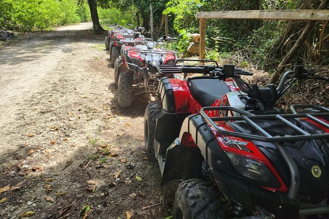 2 Hours ATV Jungle, Caverns and Mayan Ruins Tour - The 30-minute trip to Rancho Buenavista