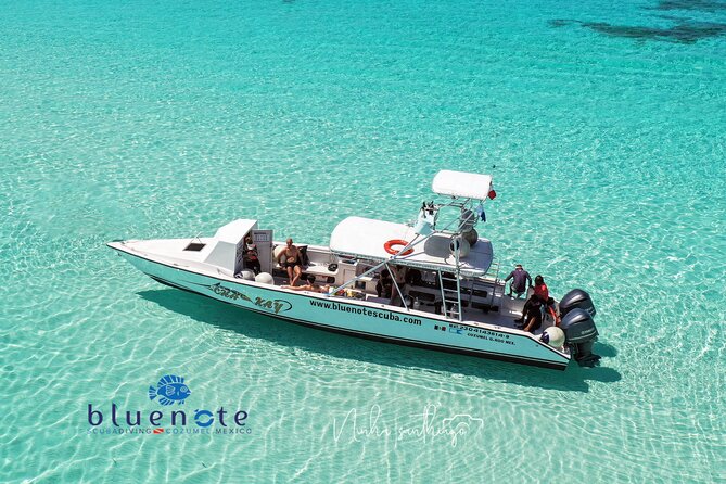 2 Tank Morning Dive: Scuba Diving in Cozumel - Key points to know before booking