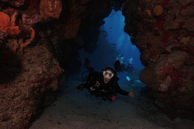 2 Tank Morning Dive: Scuba Diving in Cozumel - Two tanks, two different moods