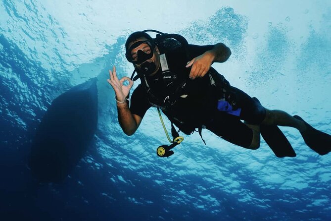 2 Tank Morning Dive: Scuba Diving in Cozumel - The surface interval includes a real lunch