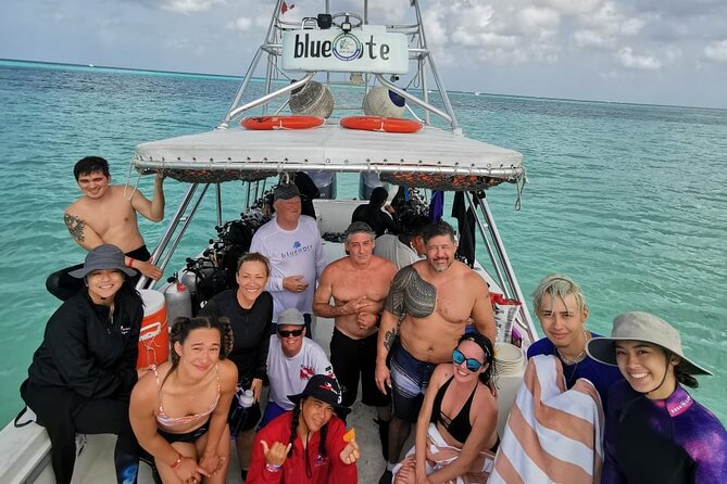2 Tank Morning Dive: Scuba Diving in Cozumel - Practical details that make the morning easier