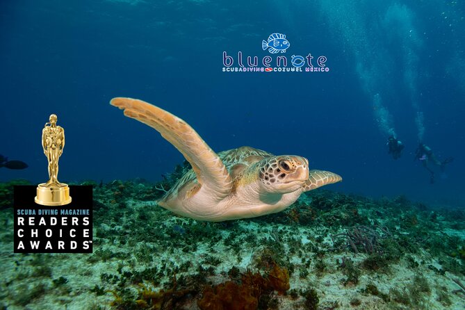 2 Tank Morning Dive: Scuba Diving in Cozumel - A boat set up for two comfortable tanks