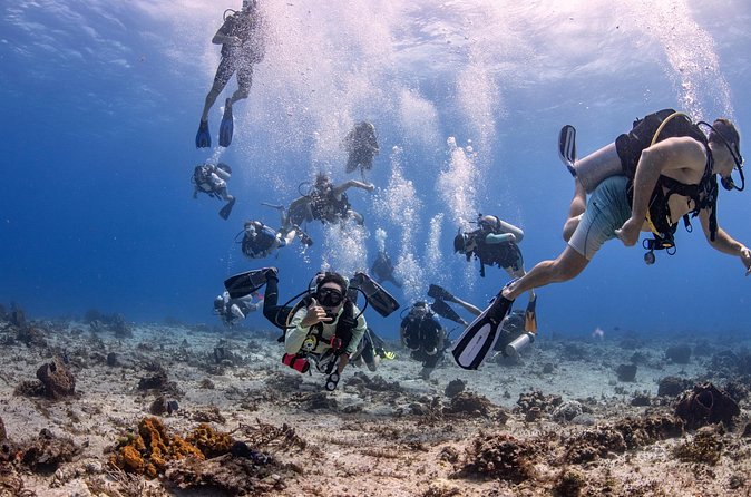 2 Tanks dives for Certified Divers in Cozumel - Small groups, equipment, and comfort underwater