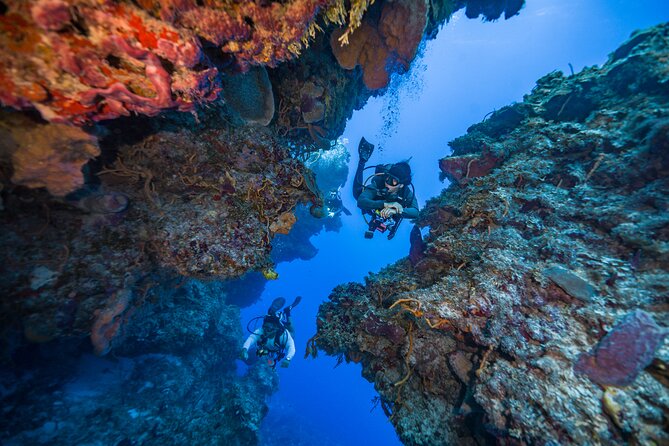 2 Tanks dives for Certified Divers in Cozumel - The lunch break and the rhythm of the morning