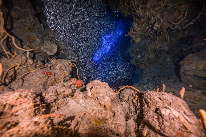 2 Tanks dives for Certified Divers in Cozumel - Practical details that affect your morning