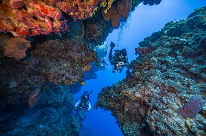 2 Tanks dives for Certified Divers in Cozumel - Who should choose this Cozumel scuba trip
