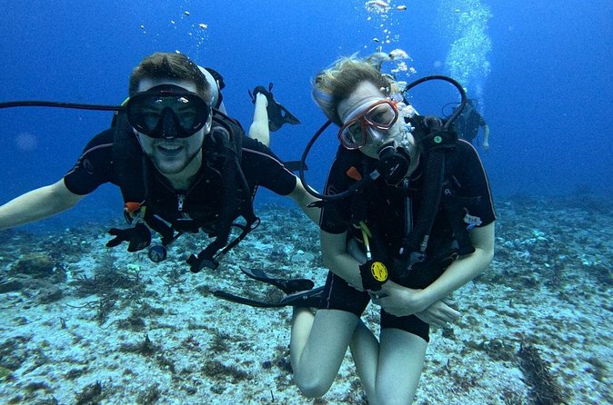 2 tanks for certified divers - Small groups and personal attention