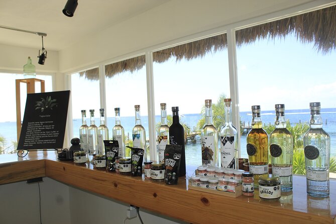 3-Hour Small-Group Mezcal and Tequila Tasting activity from Cozumel - Fruit pairings, Mexican snacks, and lunch