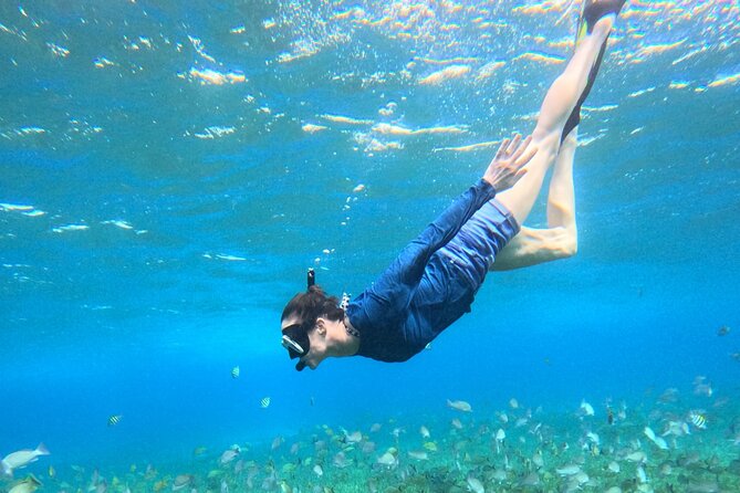 4 Hour Cozumel Turtle Sanctuary Experience on a Luxury Catamarán - El Cielo and the starfish area