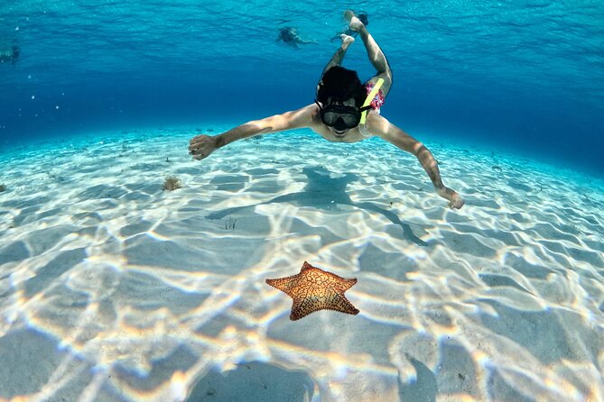 4 Hour Cozumel Turtle Sanctuary Experience on a Luxury Catamarán - Cielito, ceviche, and the floating bar
