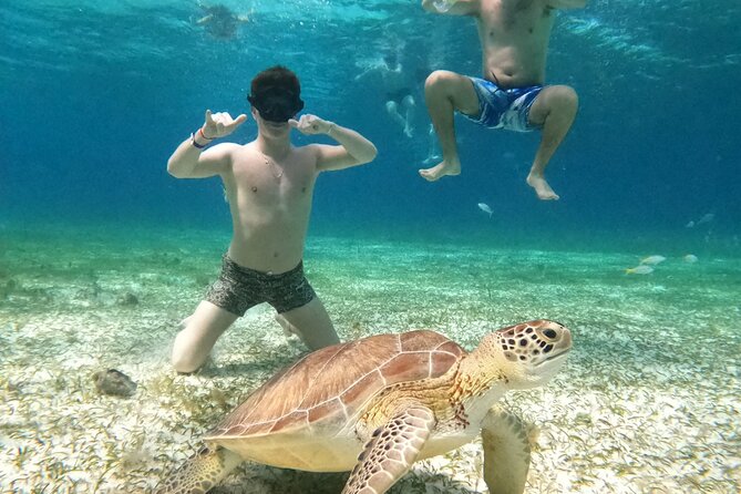 4 Hour Cozumel Turtle Sanctuary Experience on a Luxury Catamarán - The ride back and sunset expectations