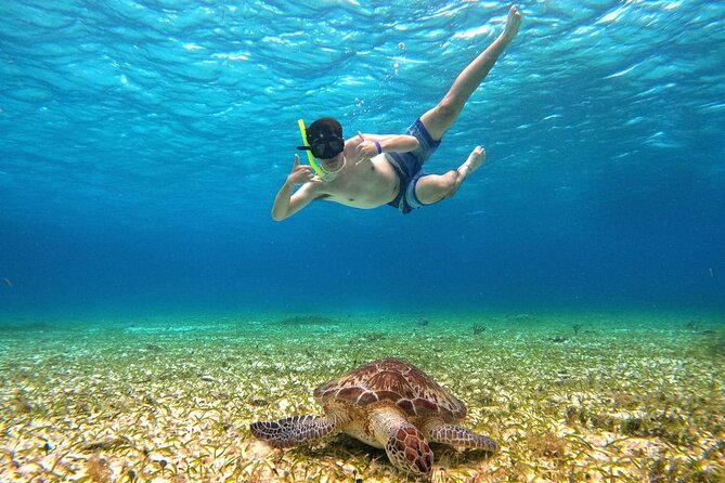 4 Hour Cozumel Turtle Sanctuary Experience on a Luxury Catamarán - Is $77.50 a fair price?