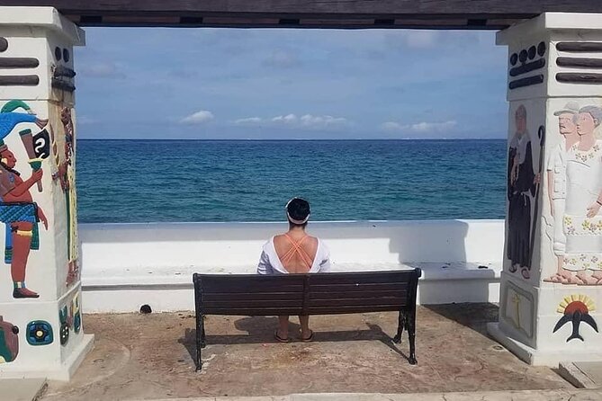 4-Hour Private Tour in Cozumel with Pickup - Jorge and Javier can shape the day
