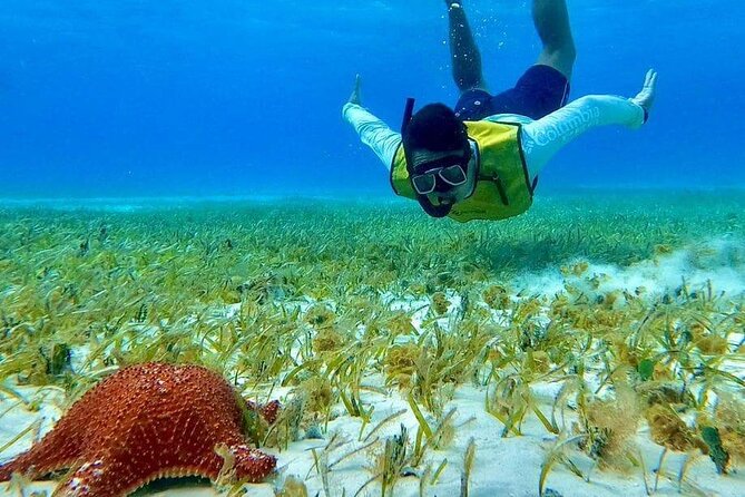 4 hours of shared snorkeling to El Cielo - Getting to Marina Caleta from the cruise area