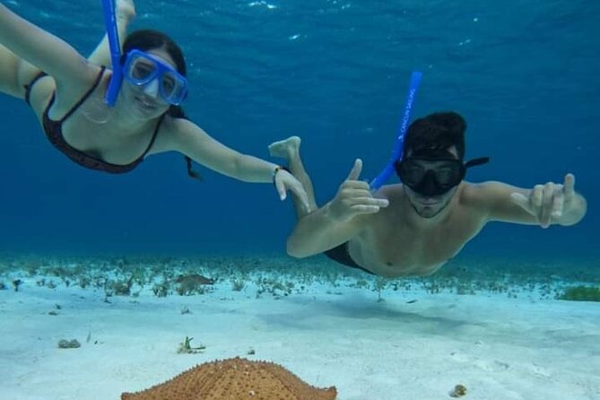 4 hours of shared snorkeling to El Cielo - Colombia Reef: better wildlife potential, variable swim time