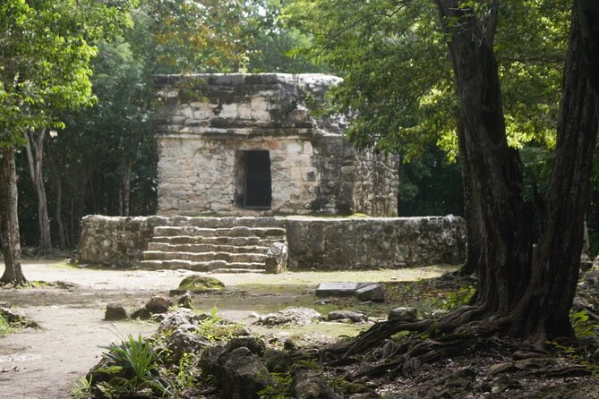 Amazing Jeep Tour Visit Punta Sur Park and San Gervasio Ruins - Pickup points and timing