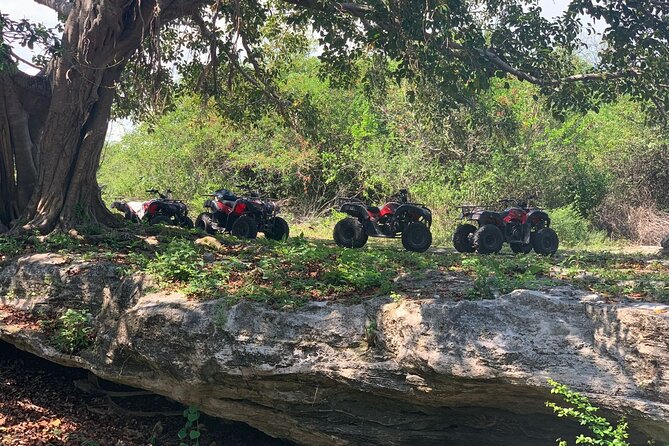ATV Jungle Adventure to Hidden Mayan Ruins and Caves - Looking for Mayan ruins in the jungle