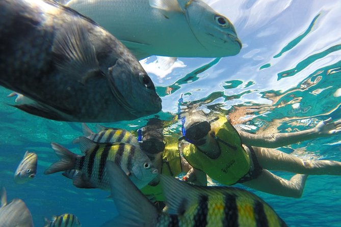 ATV Mud Kicking and Snorkeling by Boat in Cozumel - Timing, Group Size, and Cruise-Day Planning