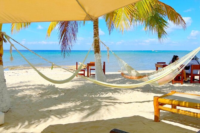 Authentic Cozumel Island Tour - Best Sights & Mayan Experience - The tequila seminar is part lesson, part tasting room