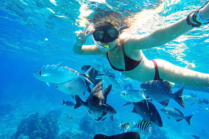 Best Cozumel Day Pass San Francisco Beach Club - Food, drinks, and extra sales