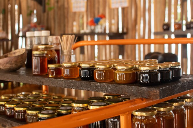 Best Island tour (dowtown, Beach, mayan Park & tastings) - Otoch Mayan Experience: food, ritual, and hands-on learning