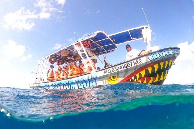 Boat Tour to Heaven in Cozumel with Ceviche - El Cielo: shallow water, starfish, and rays