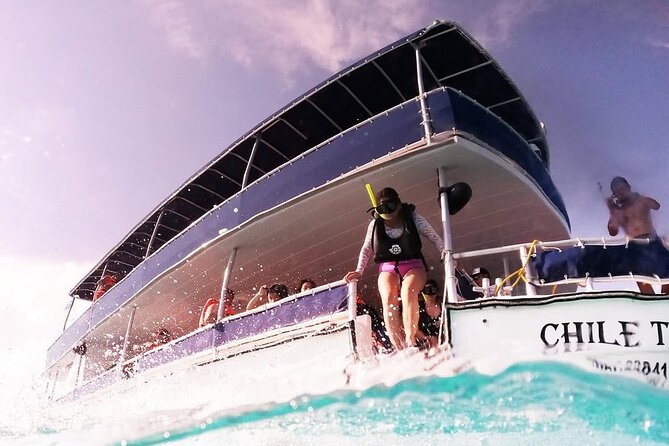 Catamaran Excursion + Open bar + Snorkeling at El Cielo - Seating, language, and equipment concerns