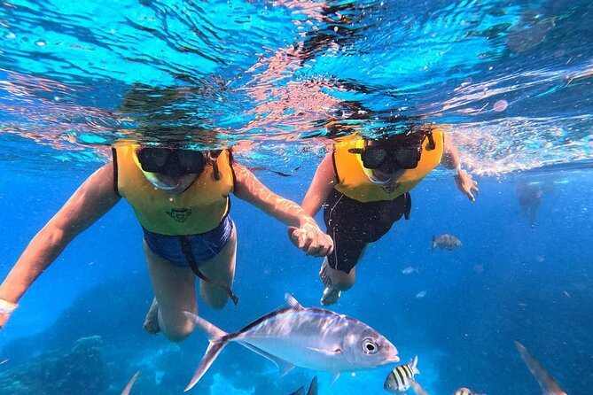 Catamaran in Cozumel with snorkeling at El Cielo and open Bar - El Cielito for shallow water and manta rays