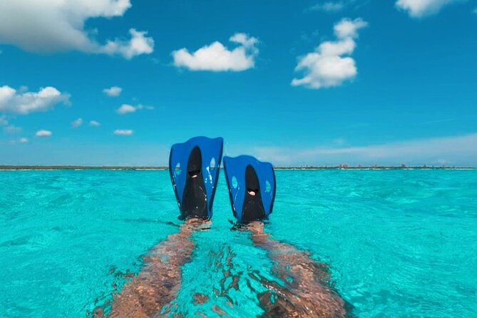 Catamaran in Cozumel with snorkeling at El Cielo and open Bar - The boat, crew, and overall mood