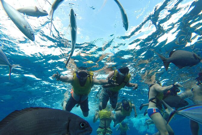 Catamaran Snorkeling to El Cielo and The Money Bar Beach Club - El Cielo and the starfish shallows