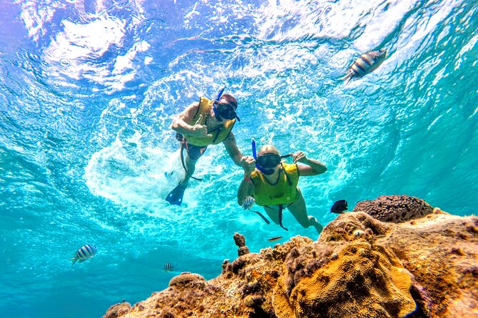 Catamaran Snorkeling to El Cielo and The Money Bar Beach Club - The Money Bar before and after the boat