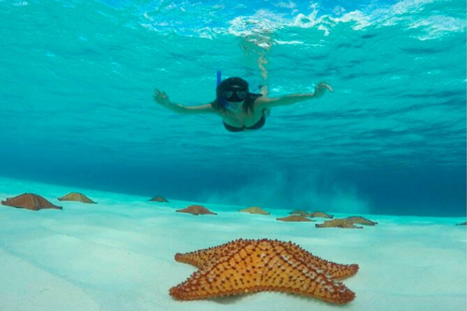 Catamaran Snorkeling to El Cielo and The Money Bar Beach Club - Boat comfort, group size, and service