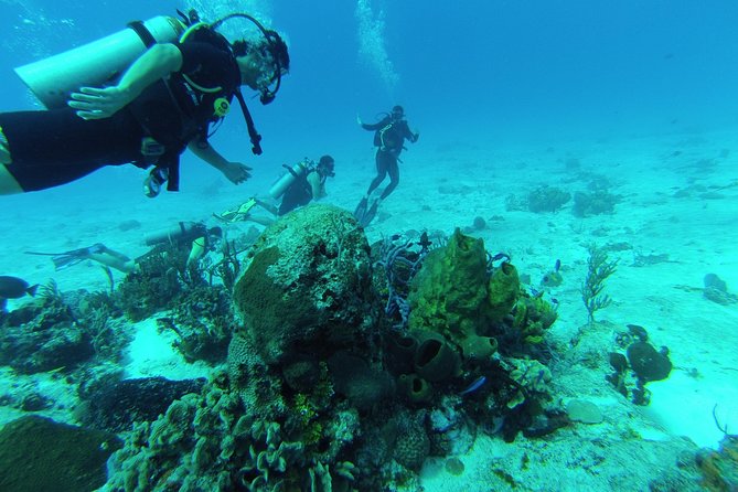 Chankanaab Cozumel Scuba Diving - Key points about the Chankanaab experience