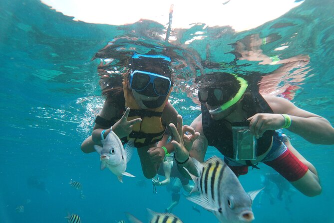 Chankanaab Park Admission + Snorkeling - Snorkeling at Chankanaab Reef