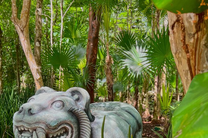 Chankanaab Park Admission + Snorkeling - What the $39 price really covers