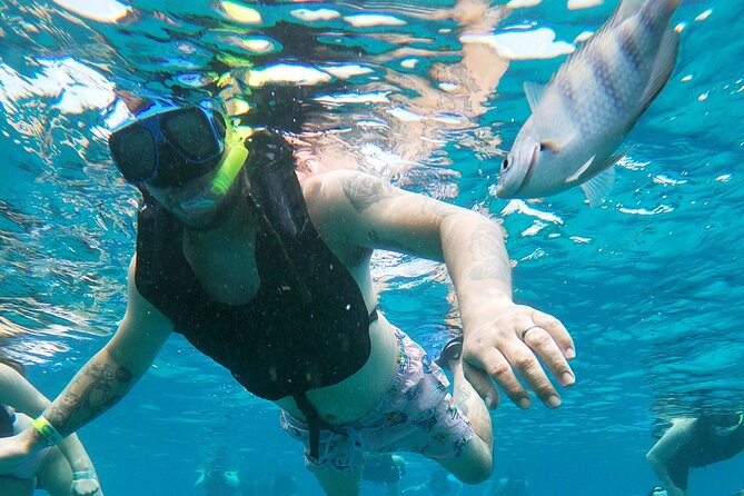 Chankanaab Park Admission + Snorkeling - What works well for families and mixed groups