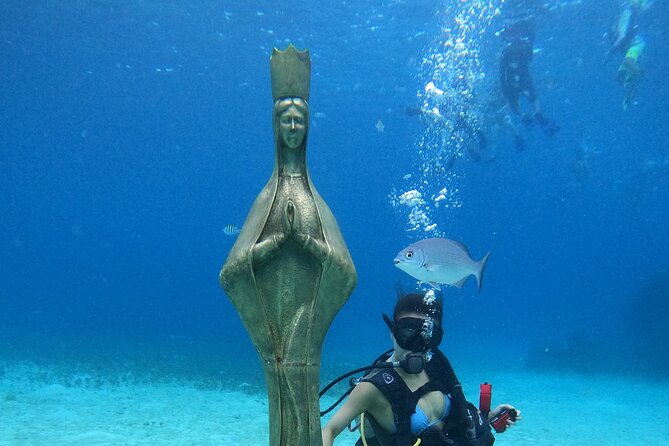 Chankanaab Park Admission +Snorkeling + Lunch included - Arriving at Chankanaab Adventure Beach Park