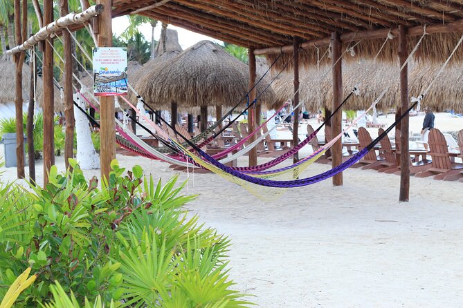 Chankanaab Park Admission +Snorkeling + Lunch included - Lunch, two drinks, and the service question