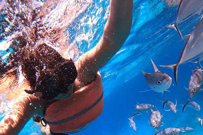 Chankanaab Park Admission +Snorkeling + Lunch included - Snorkeling the Chankanaab Reef
