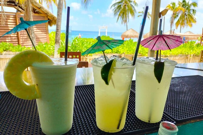 Chankanaab Park and Island Tour by Buggy with Mexican Lunch - Who will enjoy this Cozumel outing