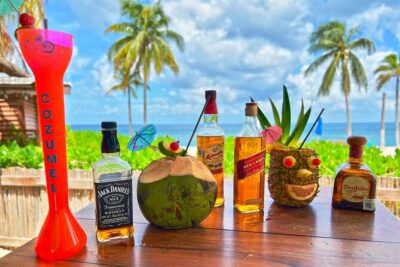 Chankanab Park Admission +Open bar +Lunch included +Snorkeling
