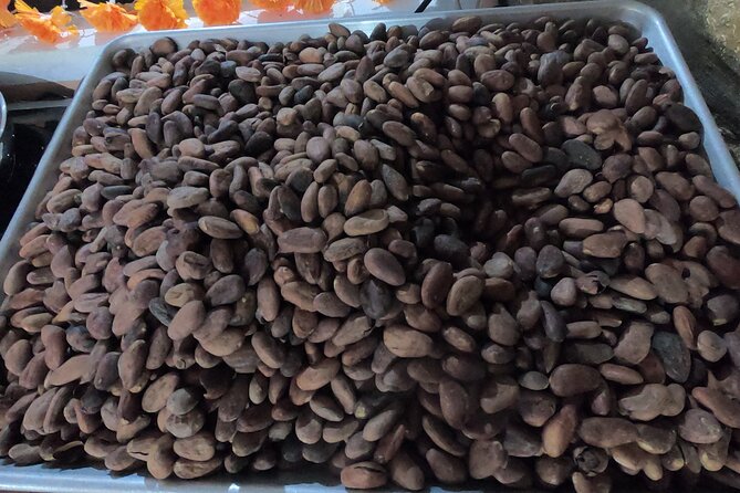 Chocolate Tasting & mayan Presentation - Timing, heat, and the risk of missing a stop