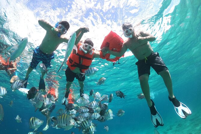 Clear Boat and Island Tour by Buggy with Mayan Experience - A five-hour taste of Cozumel beyond the port