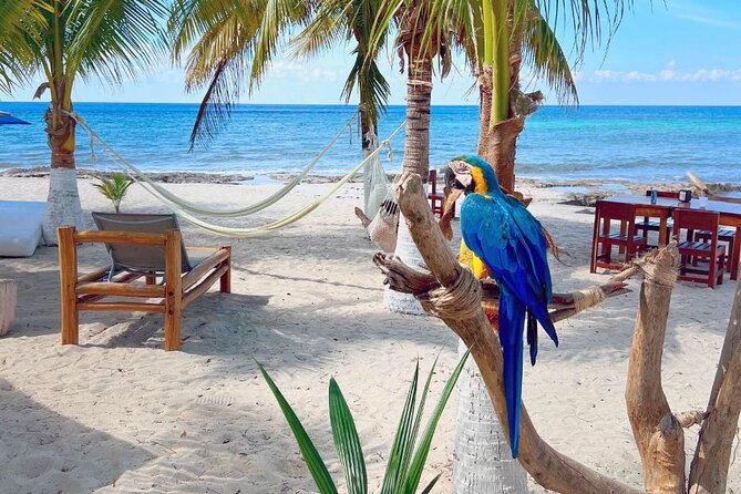 Clear Boat and Island Tour by Buggy with Mayan Experience - Meeting Mayan customs through food and ceremony