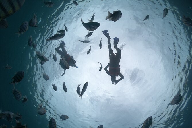 Clear Boat & Snorkel Cozumel Tour with Drinks - Snorkeling time is the active part