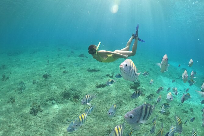 Clear Boat & Snorkel Cozumel Tour with Drinks - Safety and comfort on the water