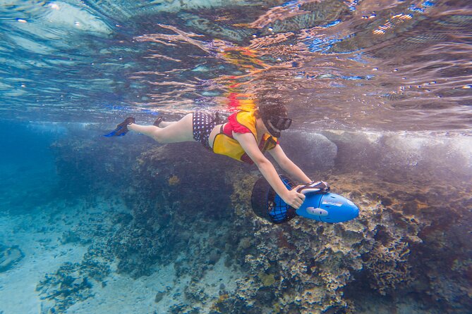 Clear Kayaking, Sea Scooters Adventure - Underwater views, coral, and possible GoPro footage
