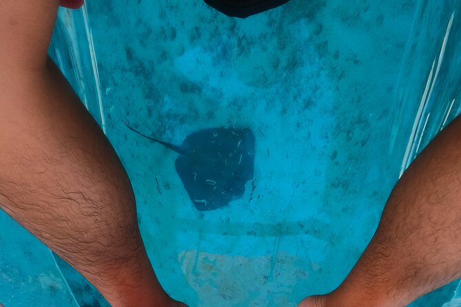 Clear Kayaking, Sea Scooters Adventure - Is $79 a fair price?